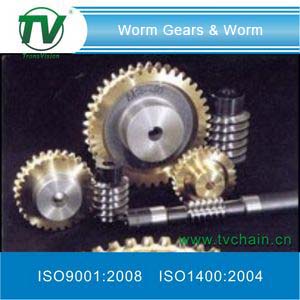 Worm Gear and Worm